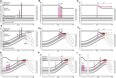 Moving Forward From COVID-19: Bridging Knowledge Gaps in Maternal Health With a New Conceptual Model